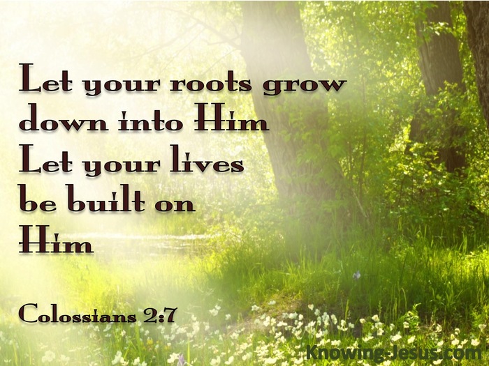 Rooted and Grounded in Christ